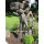 Outdoor Bronze Mailbox Statue for Sale